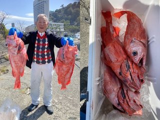 【釣果速報】注目のベニアコウ釣れた！あなたも静岡県喜久丸でベニアコウを自分の手で釣り上げてみませんか？