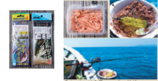 こんな仕掛で楽しもう