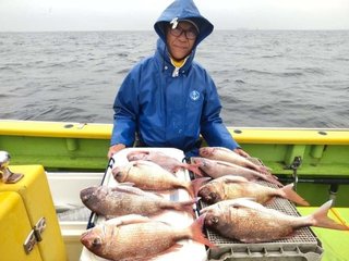 【釣果速報】神奈川県鴨下丸kawanaで最大1.60kgの良型マダイ揃う！おいしいアジ・サバ・クロダイも！人気魚種とのファイトに心が躍る！