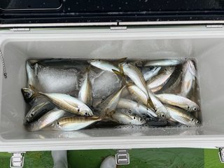 釣果