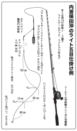 内房安田沖のライト五目仕掛例