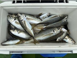 釣果