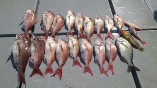 釣果