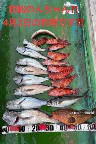 【釣果速報】デカい！45cmのハイパー高級魚クログチ獲った！誰もが羨む憧れのターゲットは和歌山県釣船のんちゃんで釣り上げよう！