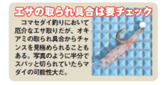 エサの取られ具合は要チェック