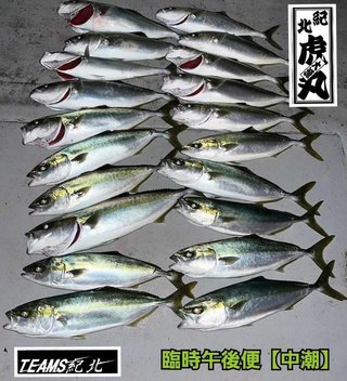 釣果