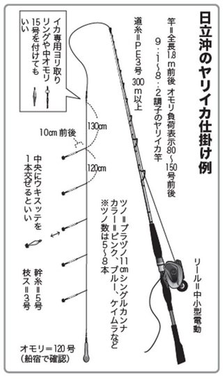 ヤリイカ前線北上中 日立沖はGWも有望