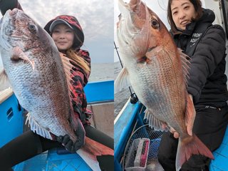 【釣果速報】でか～～～～い！茨城県大春丸で4.24kgのマダイキャッチ！現在、中～大鯛メインにコンスタントに釣れてる模様です！