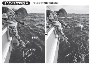 エサの投入の写真