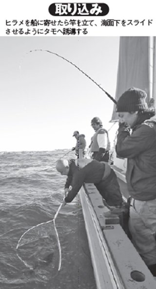 取り込みの写真