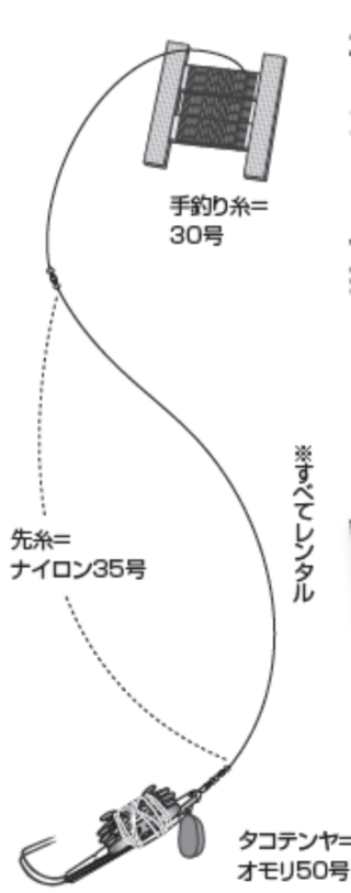 当日のマダコ仕掛け