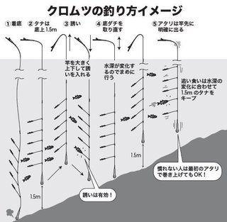 気軽にだれでも深場釣り！ ライト深海はクロムツが主役