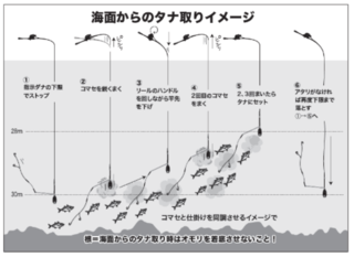 海面からのタナ取りのイメージ