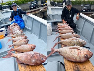 【釣果速報】乗っ込みシーズン終盤戦！静岡県山大丸で最大4.50kg、船中47枚！乗船してラストスパートをかけるのは誰だ！？