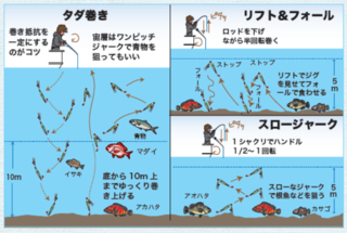 SLJの釣り方イメージ