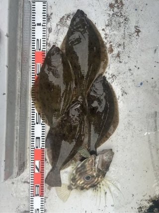 釣果