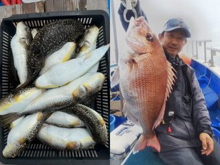 【釣果速報】茨城県豊丸で42cmのジャンボサイズを筆頭にショウサイフグが釣れまくり！味も極上な今が乗船どき！