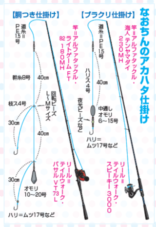 なおちんのアカハタ仕掛け