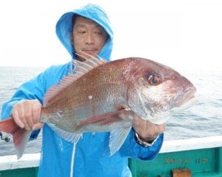 【釣果速報】静岡県増福丸でマダイ・イサキ・オオモンハタと人気魚種続々ゲット！いろいろな魚との出会いを楽しみたい人は即予約を！