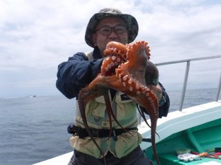 【釣果速報】茨城県栄光丸でマダコ＆マダイ＆ホウボウの人気者を制覇！終始大興奮間違いなし！     