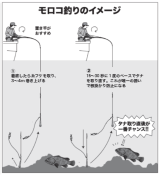 モロコの釣りのイメージ
