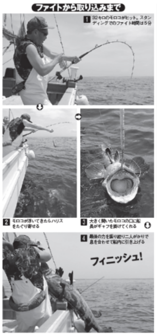 ファイトから取り込みまで