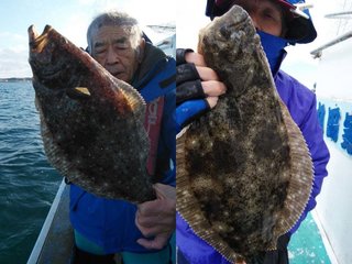 【釣果速報】千葉県家田丸で人気のヒラメ釣れた！あなたも家田丸で釣り人に人気の高いターゲットヒラメを狙おう！