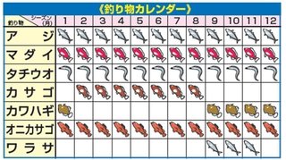 釣り物カレンダー