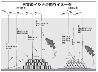 イシナギ釣りのイメージ