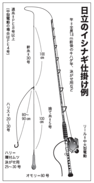 日立のイシナギ仕掛け例