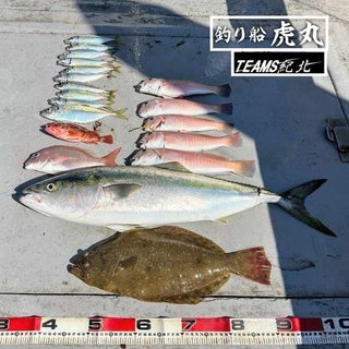 釣果