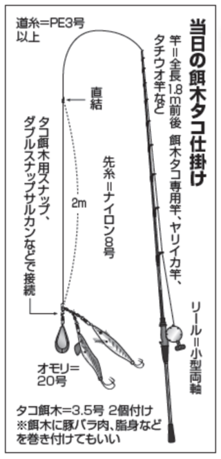 当日の餌木タコ仕掛け