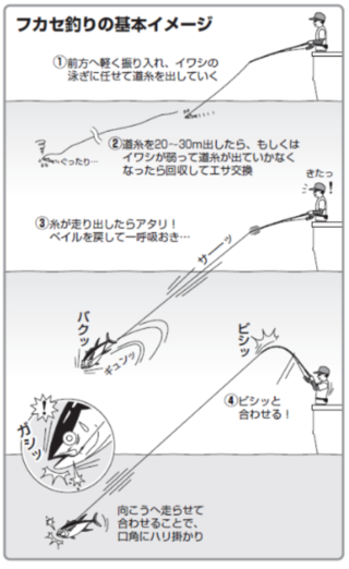 フカセ釣りの基本イメージ