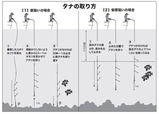 タナの取り方の図