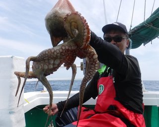 【釣果速報】茨城県栄光丸でマダコ三昧！竿頭はなんと26匹！サイズも2kgのキロオーバータコを筆頭に好調です！