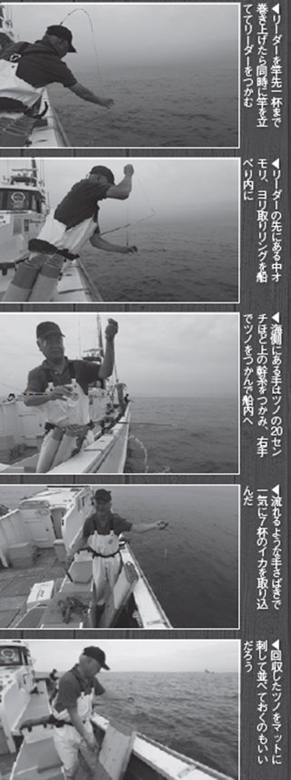 取り込み方の写真