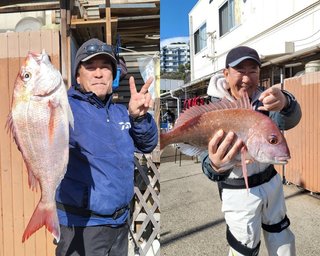 【釣果速報】神奈川県房丸1kgの良型マダイをゲット！ヒット多数な今がチャンス！