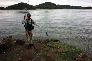 釣具（タックル）」の記事まとめ｜FISHING JAPAN（フィッシング