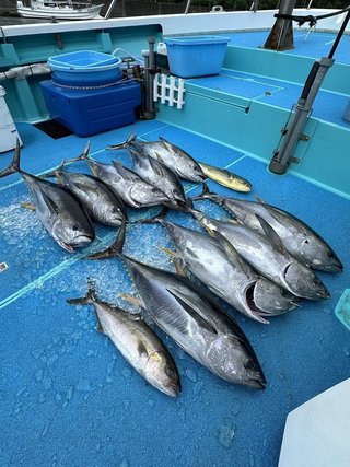 釣果
