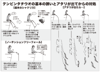 テンビンタチウオの基本の誘いとアタリが出てからの対処