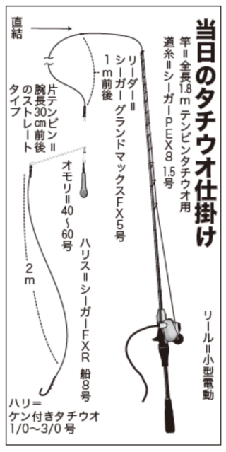 当日のタチウオ仕掛け