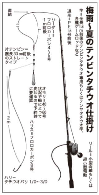 梅雨～夏のテンビンタチウオ仕掛け