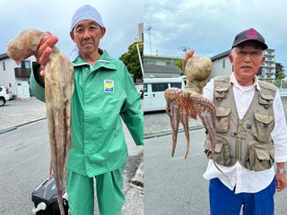 【釣果速報】神奈川県金沢八景 黒川丸で全員マダコGET達成！1.20kgの良型タコも！好調の今、ぜひ乗船予約を！