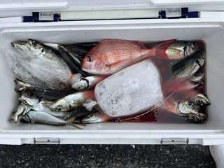 釣果