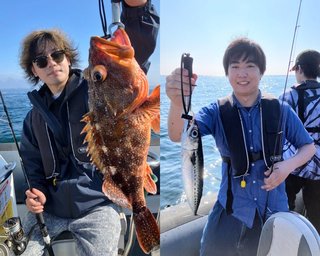 【釣果速報】千葉県Seafari Japanでウッカリカサゴ・サバと人気魚種続々ゲット！いろいろな魚との出会いを楽しみたい人は即予約を！