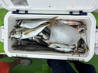 釣果