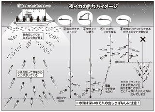 釣り方のイメージ
