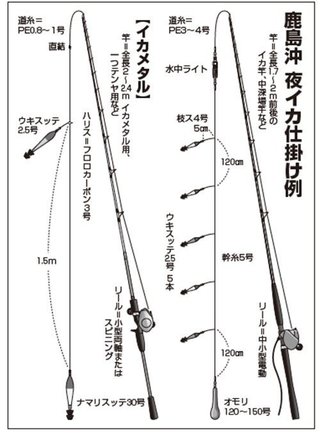 鹿島で夜イカ爆釣中