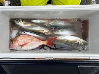 釣果