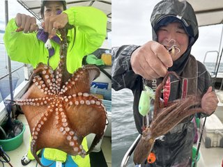 【釣果速報】兵庫県釣り船角田はキロオーバーのマダコがじゃんじゃん釣れてるってウワサ！大型タコを狙いたいなら今スグに乗船を！